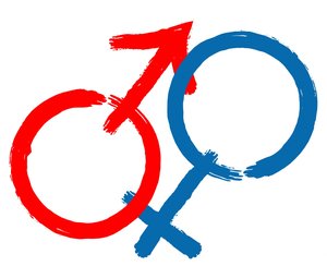 多任务学习